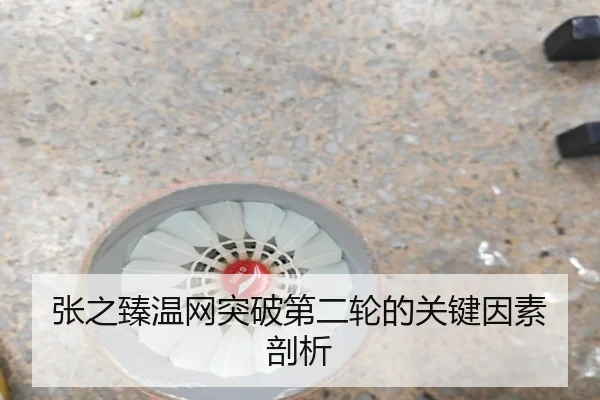 张之臻温网突破第二轮的关键因素剖析
